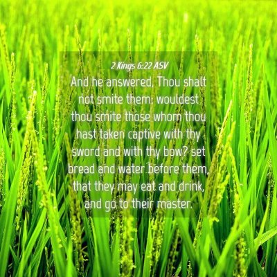 Picture 04 - 2 Kings 6:22 ASV - And he answered, Thou shalt not smite them: - Bible Verse Picture