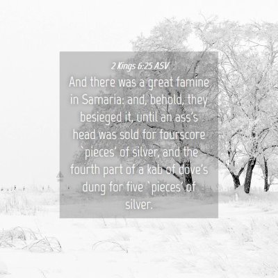 Picture 04 - 2 Kings 6:25 ASV - And there was a great famine in Samaria: and, - Bible Verse Picture