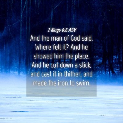 Picture 04 - 2 Kings 6:6 ASV - And the man of God said, Where fell it? And he - Bible Verse Picture