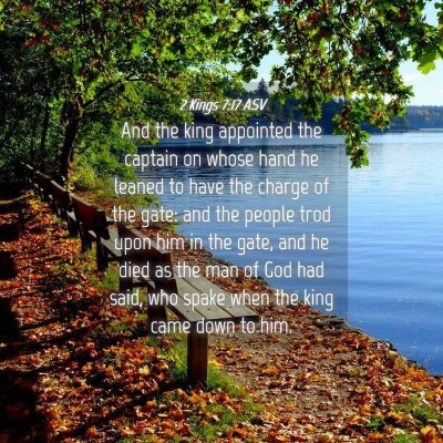 Picture 04 - 2 Kings 7:17 ASV - And the king appointed the captain on whose hand - Bible Verse Picture
