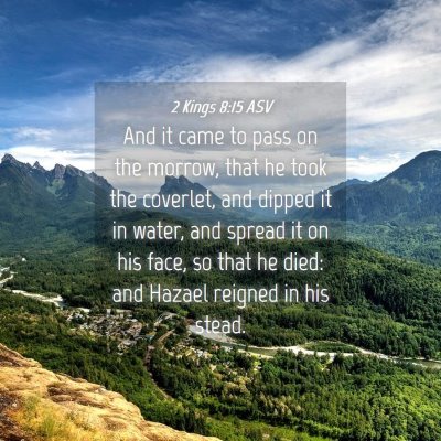 Picture 04 - 2 Kings 8:15 ASV - And it came to pass on the morrow, that he took - Bible Verse Picture