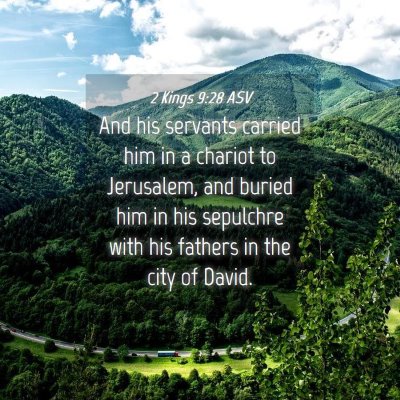 Picture 04 - 2 Kings 9:28 ASV - And his servants carried him in a chariot to - Bible Verse Picture