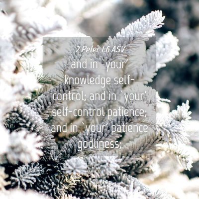 Picture 04 - 2 Peter 1:6 ASV - and in `your' knowledge self-control; and in - Bible Verse Picture