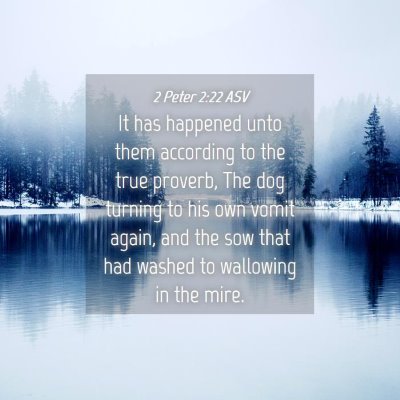 Picture 04 - 2 Peter 2:22 ASV - It has happened unto them according to the true - Bible Verse Picture