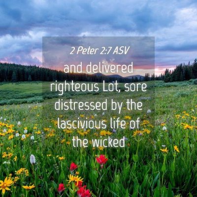 Picture 04 - 2 Peter 2:7 ASV - and delivered righteous Lot, sore distressed by - Bible Verse Picture