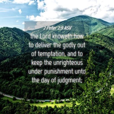 Picture 04 - 2 Peter 2:9 ASV - the Lord knoweth how to deliver the godly out of - Bible Verse Picture