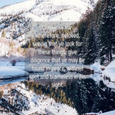 Picture 04 - 2 Peter 3:14 ASV - Wherefore, beloved, seeing that ye look for these - Bible Verse Picture