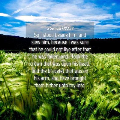 Picture 04 - 2 Samuel 1:10 ASV - So I stood beside him, and slew him, because I - Bible Verse Picture