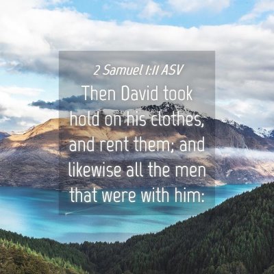 Picture 04 - 2 Samuel 1:11 ASV - Then David took hold on his clothes, and rent - Bible Verse Picture