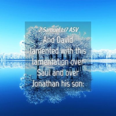 Picture 04 - 2 Samuel 1:17 ASV - And David lamented with this lamentation over - Bible Verse Picture
