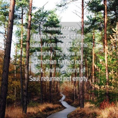 Picture 04 - 2 Samuel 1:22 ASV - From the blood of the slain, from the fat of the - Bible Verse Picture