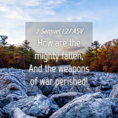 Picture 04 - 2 Samuel 1:27 ASV - How are the mighty fallen, And the weapons of war - Bible Verse Picture