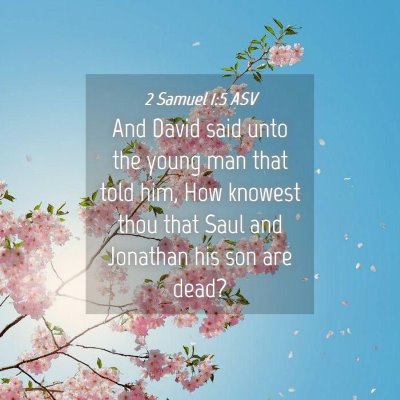 Picture 04 - 2 Samuel 1:5 ASV - And David said unto the young man that told him, - Bible Verse Picture