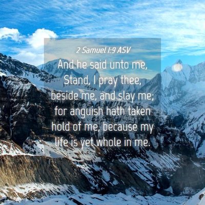 Picture 04 - 2 Samuel 1:9 ASV - And he said unto me, Stand, I pray thee, beside - Bible Verse Picture