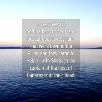 Picture 04 - 2 Samuel 10:16 ASV - And Hadarezer sent, and brought out the Syrians - Bible Verse Picture