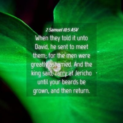 Picture 04 - 2 Samuel 10:5 ASV - When they told it unto David, he sent to meet - Bible Verse Picture