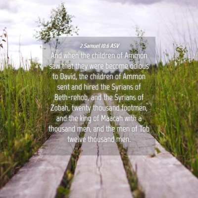 Picture 04 - 2 Samuel 10:6 ASV - And when the children of Ammon saw that they were - Bible Verse Picture