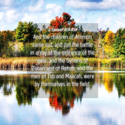 Picture 04 - 2 Samuel 10:8 ASV - And the children of Ammon came out, and put the - Bible Verse Picture