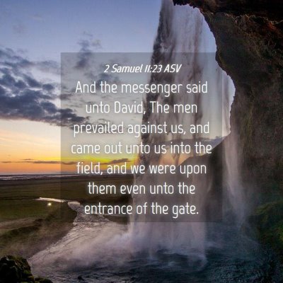 Picture 04 - 2 Samuel 11:23 ASV - And the messenger said unto David, The men - Bible Verse Picture