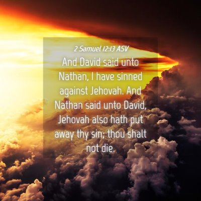 Picture 04 - 2 Samuel 12:13 ASV - And David said unto Nathan, I have sinned against - Bible Verse Picture