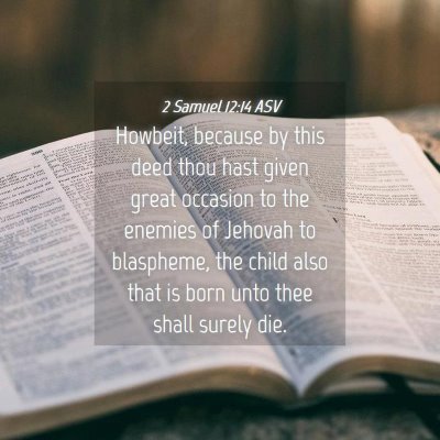 Picture 04 - 2 Samuel 12:14 ASV - Howbeit, because by this deed thou hast given - Bible Verse Picture