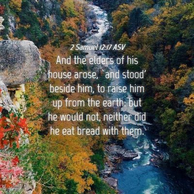 Picture 04 - 2 Samuel 12:17 ASV - And the elders of his house arose, `and stood' - Bible Verse Picture