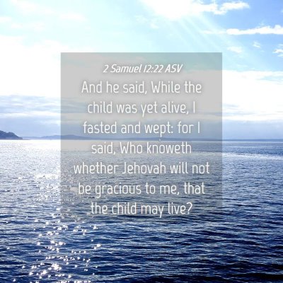 Picture 04 - 2 Samuel 12:22 ASV - And he said, While the child was yet alive, I - Bible Verse Picture