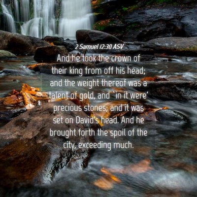 Picture 04 - 2 Samuel 12:30 ASV - And he took the crown of their king from off his - Bible Verse Picture
