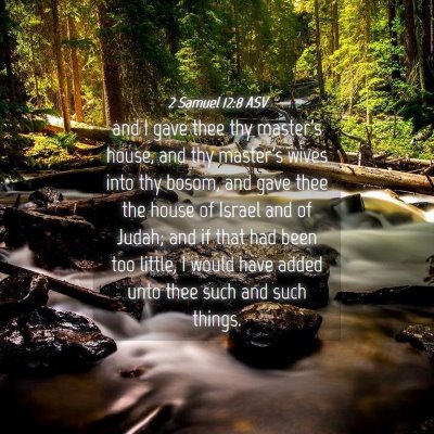 Picture 04 - 2 Samuel 12:8 ASV - and I gave thee thy master's house, and thy - Bible Verse Picture