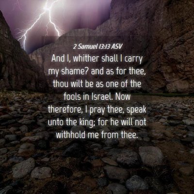 Picture 04 - 2 Samuel 13:13 ASV - And I, whither shall I carry my shame? and as for - Bible Verse Picture