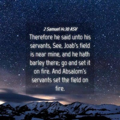 Picture 04 - 2 Samuel 14:30 ASV - Therefore he said unto his servants, See, Joab's - Bible Verse Picture
