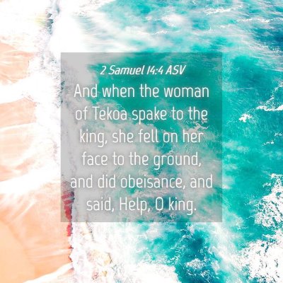 Picture 04 - 2 Samuel 14:4 ASV - And when the woman of Tekoa spake to the king, - Bible Verse Picture