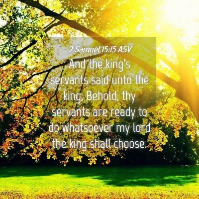 Picture 04 - 2 Samuel 15:15 ASV - And the king's servants said unto the king, - Bible Verse Picture