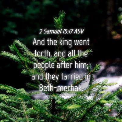 Picture 04 - 2 Samuel 15:17 ASV - And the king went forth, and all the people after - Bible Verse Picture