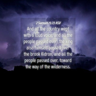 Picture 04 - 2 Samuel 15:23 ASV - And all the country wept with a loud voice, and - Bible Verse Picture