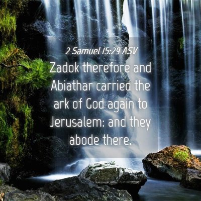 Picture 04 - 2 Samuel 15:29 ASV - Zadok therefore and Abiathar carried the ark of - Bible Verse Picture