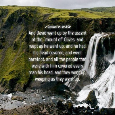 Picture 04 - 2 Samuel 15:30 ASV - And David went up by the ascent of the `mount of' - Bible Verse Picture