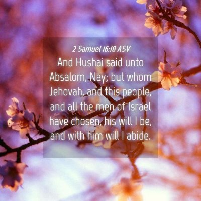 Picture 04 - 2 Samuel 16:18 ASV - And Hushai said unto Absalom, Nay; but whom - Bible Verse Picture