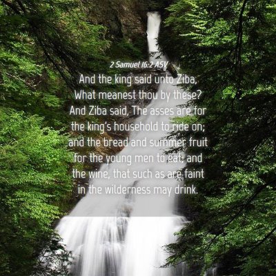 Picture 04 - 2 Samuel 16:2 ASV - And the king said unto Ziba, What meanest thou by - Bible Verse Picture