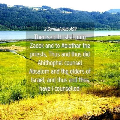 Picture 04 - 2 Samuel 17:15 ASV - Then said Hushai unto Zadok and to Abiathar the - Bible Verse Picture