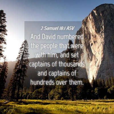 Picture 04 - 2 Samuel 18:1 ASV - And David numbered the people that were with him, - Bible Verse Picture