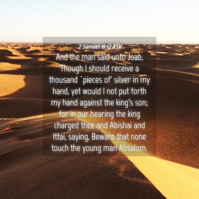 Picture 04 - 2 Samuel 18:12 ASV - And the man said unto Joab, Though I should - Bible Verse Picture