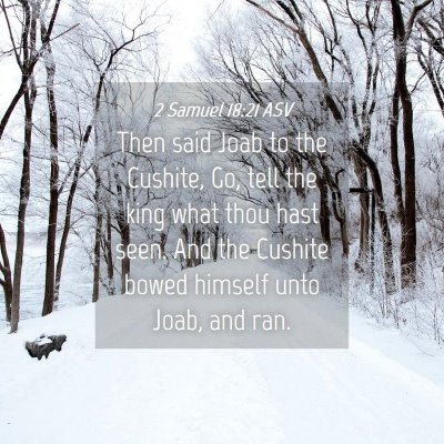 Picture 04 - 2 Samuel 18:21 ASV - Then said Joab to the Cushite, Go, tell the king - Bible Verse Picture