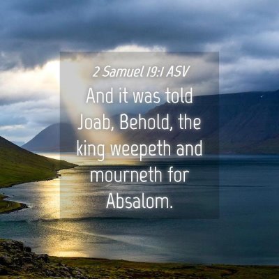 Picture 04 - 2 Samuel 19:1 ASV - And it was told Joab, Behold, the king weepeth - Bible Verse Picture