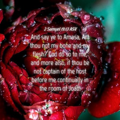 Picture 04 - 2 Samuel 19:13 ASV - And say ye to Amasa, Art thou not my bone and my - Bible Verse Picture