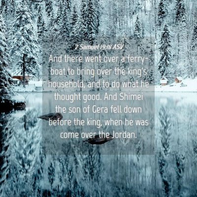 Picture 04 - 2 Samuel 19:18 ASV - And there went over a ferry-boat to bring over - Bible Verse Picture