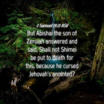 Picture 04 - 2 Samuel 19:21 ASV - But Abishai the son of Zeruiah answered and said, - Bible Verse Picture