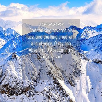 Picture 04 - 2 Samuel 19:4 ASV - And the king covered his face, and the king cried - Bible Verse Picture