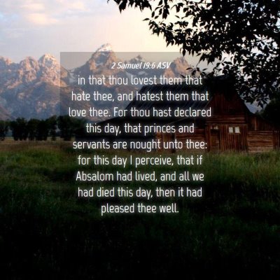 Picture 04 - 2 Samuel 19:6 ASV - in that thou lovest them that hate thee, and - Bible Verse Picture