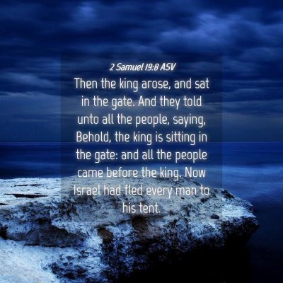 Picture 04 - 2 Samuel 19:8 ASV - Then the king arose, and sat in the gate. And - Bible Verse Picture